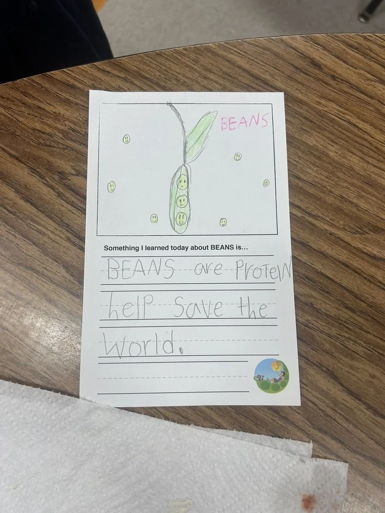 A child's drawing of a bean plant with smiley faces inside the beans and a leaf, accompanied by handwritten text explaining that beans are a protein that can help save the world.