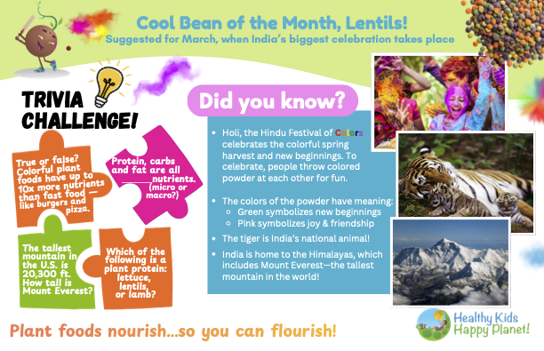 Colorful promotional poster about lentils as the cool bean of the month, featuring trivia, facts, and images of children celebrating Holi, a tiger, mountains, and various plant-based foods.