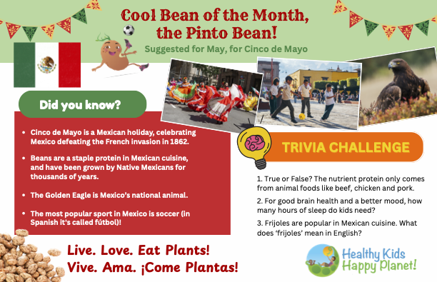 Colorful Mexican-themed celebration poster for Cinco de Mayo featuring a Pinto Bean character, a group of children playing soccer, a Mexican flag, and a Golden Eagle, with trivia and fun facts about Mexico.
