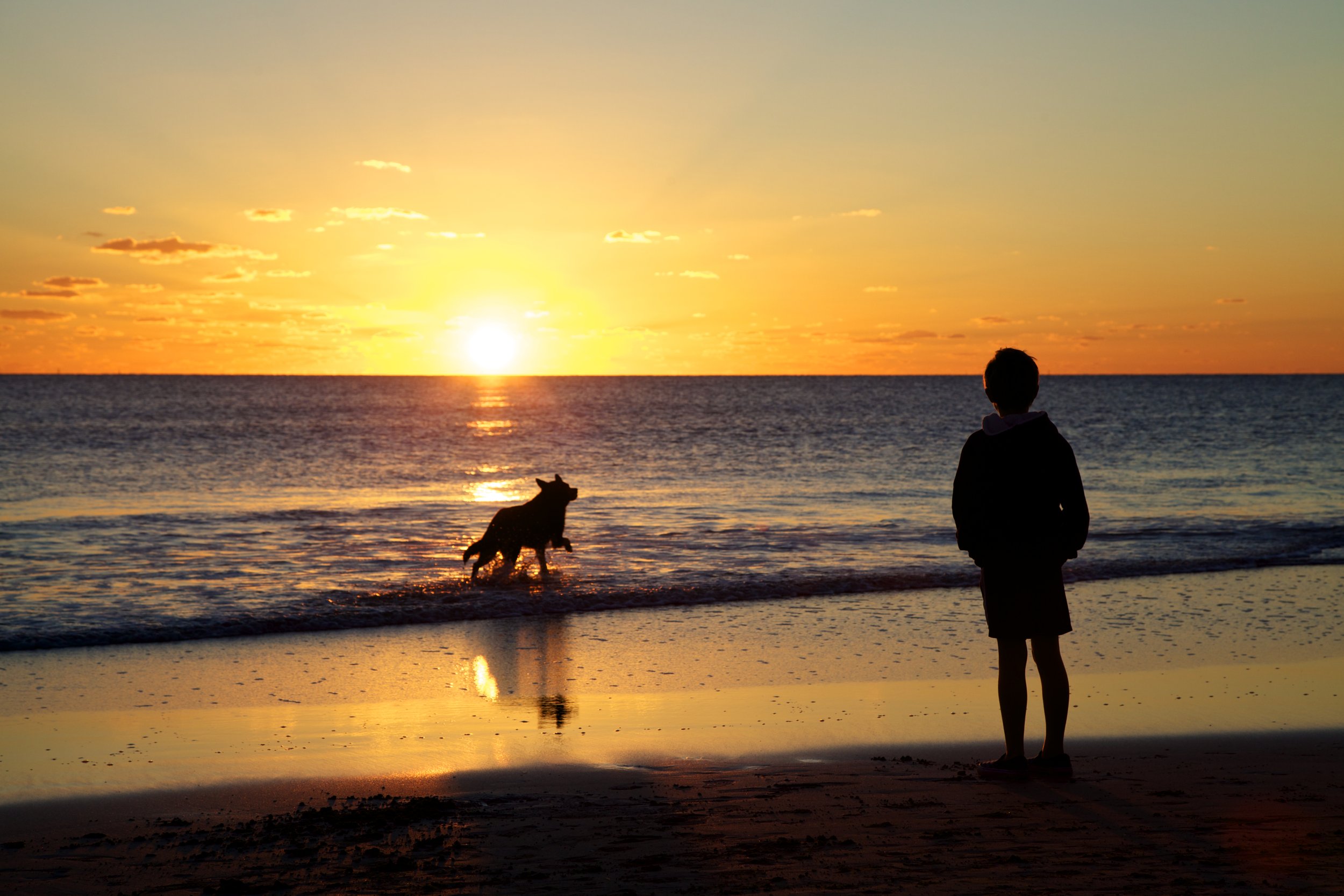 A person and a dog standing on a beach during sunset, with the person looking at the horizon and the dog playing in the water.