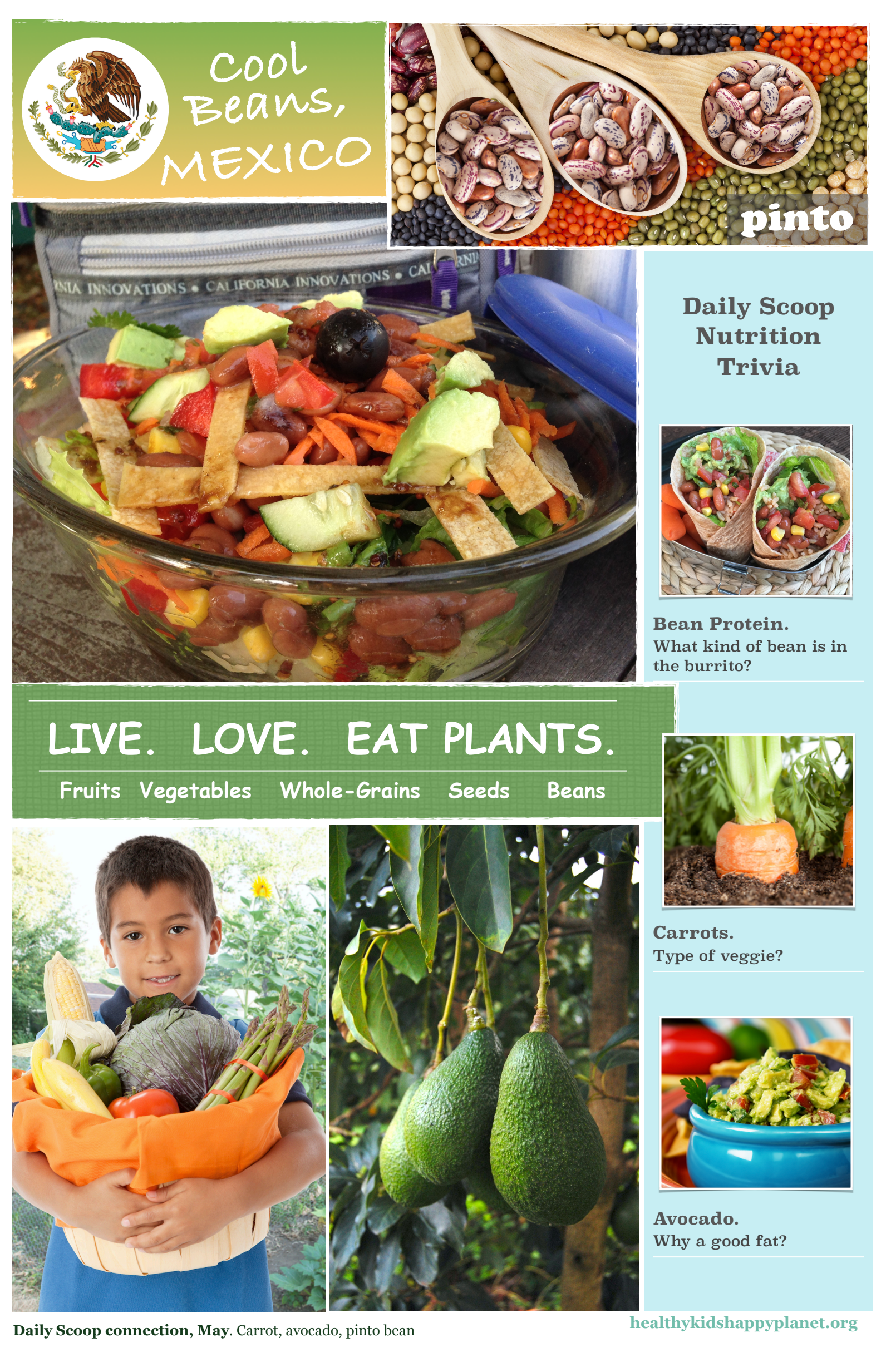 A colorful educational poster about healthy plant-based foods from Mexico. It features images of pinto beans, a mixed vegetable and bean salad, avocados, fresh carrots, and a young boy holding a basket of vegetables. The poster emphasizes eating plants such as fruits, vegetables, whole grains, seeds, and beans, with sections on nutrition trivia about beans, burritos, carrots, and avocados.