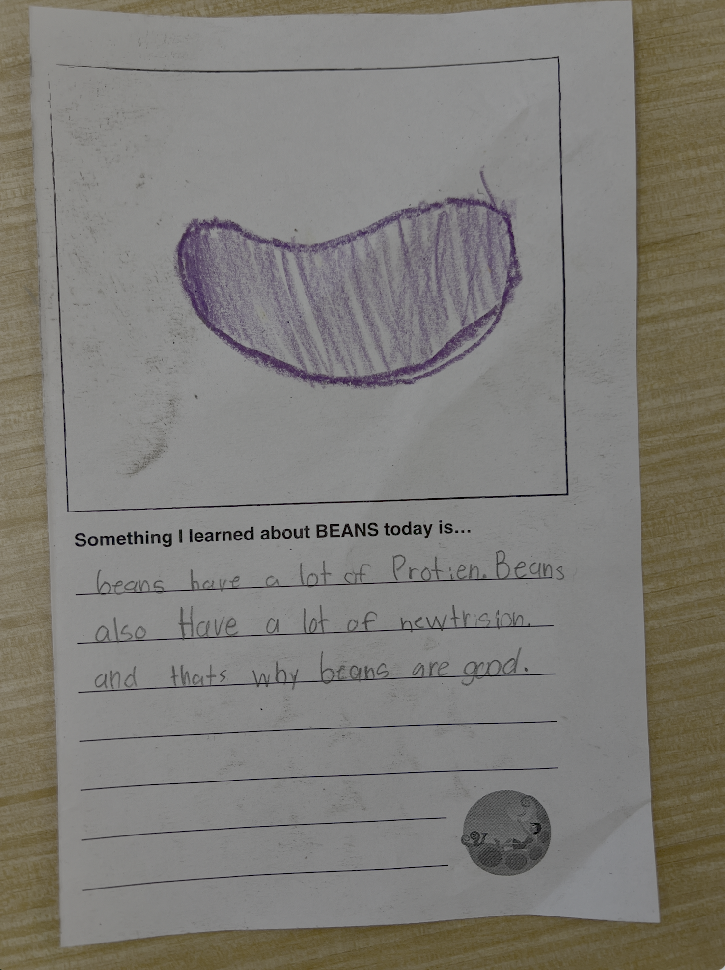 A child's drawing of a purple bean with lines shading the bean, on a piece of paper with writing about beans, including a small moon illustration at the bottom.