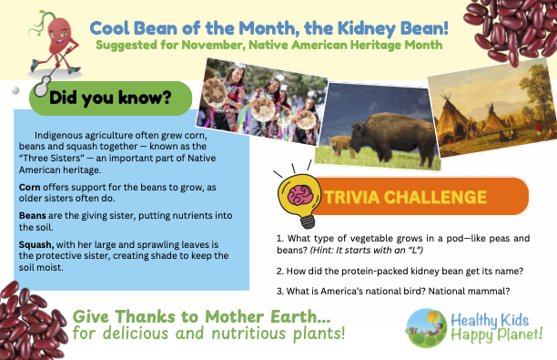 An educational poster about the kidney bean, featuring images of indigenous children, a bear, a tipi, kidney beans, and a desert landscape, with trivia questions regarding vegetables, the kidney bean's name, and America's national bird.