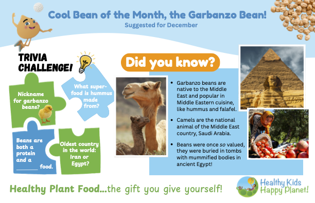 Educational infographic about garbanzo beans, also known as chickpeas, featuring trivia facts, images of a pyramid and camels, and themed with cheerful cartoon characters.