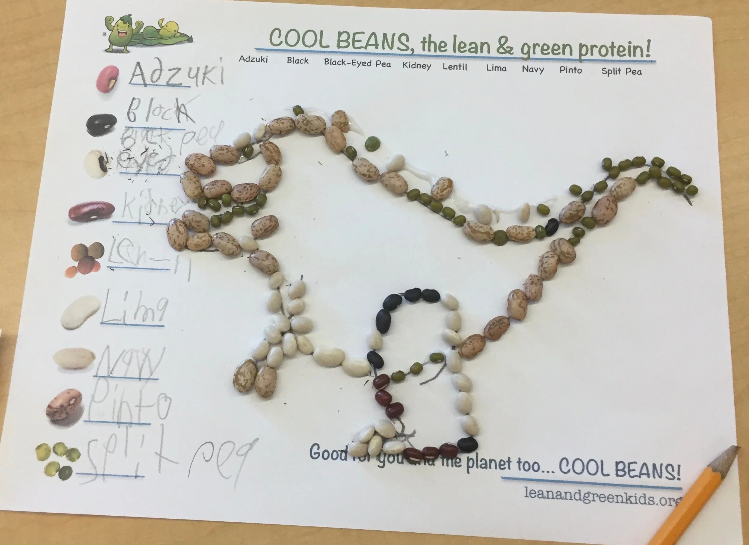 A sheet of paper with a colorful illustration of a green and yellow bean cartoon character in the top left corner. The paper displays different types of beans arranged in a design, with handwritten labels and notes about each bean type, including adz