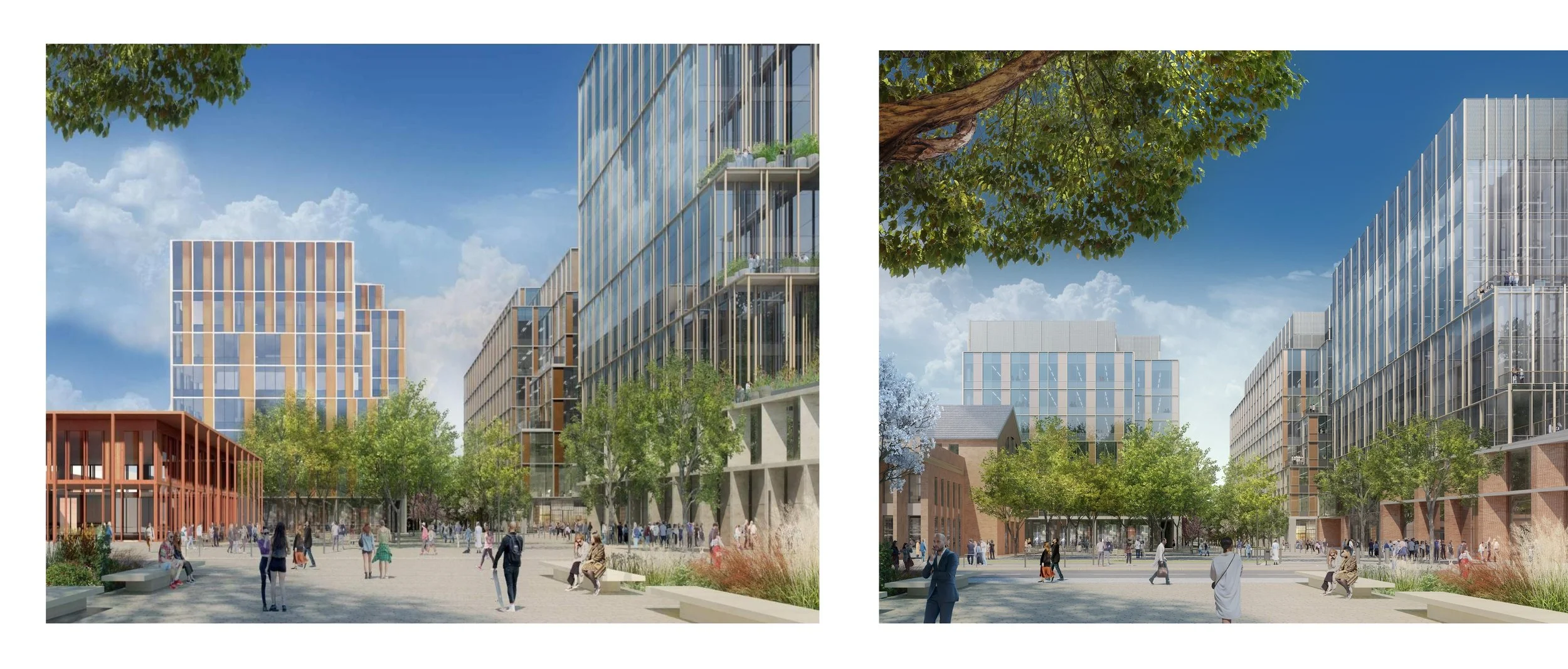 south paseo process