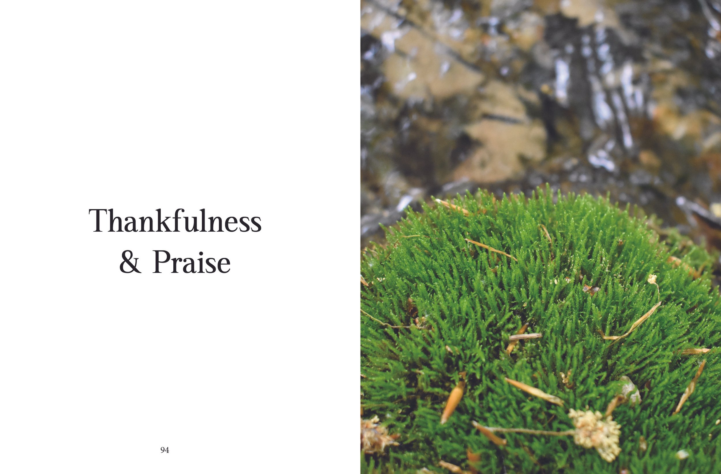 AnnaK_Project1_Spread4.jpg