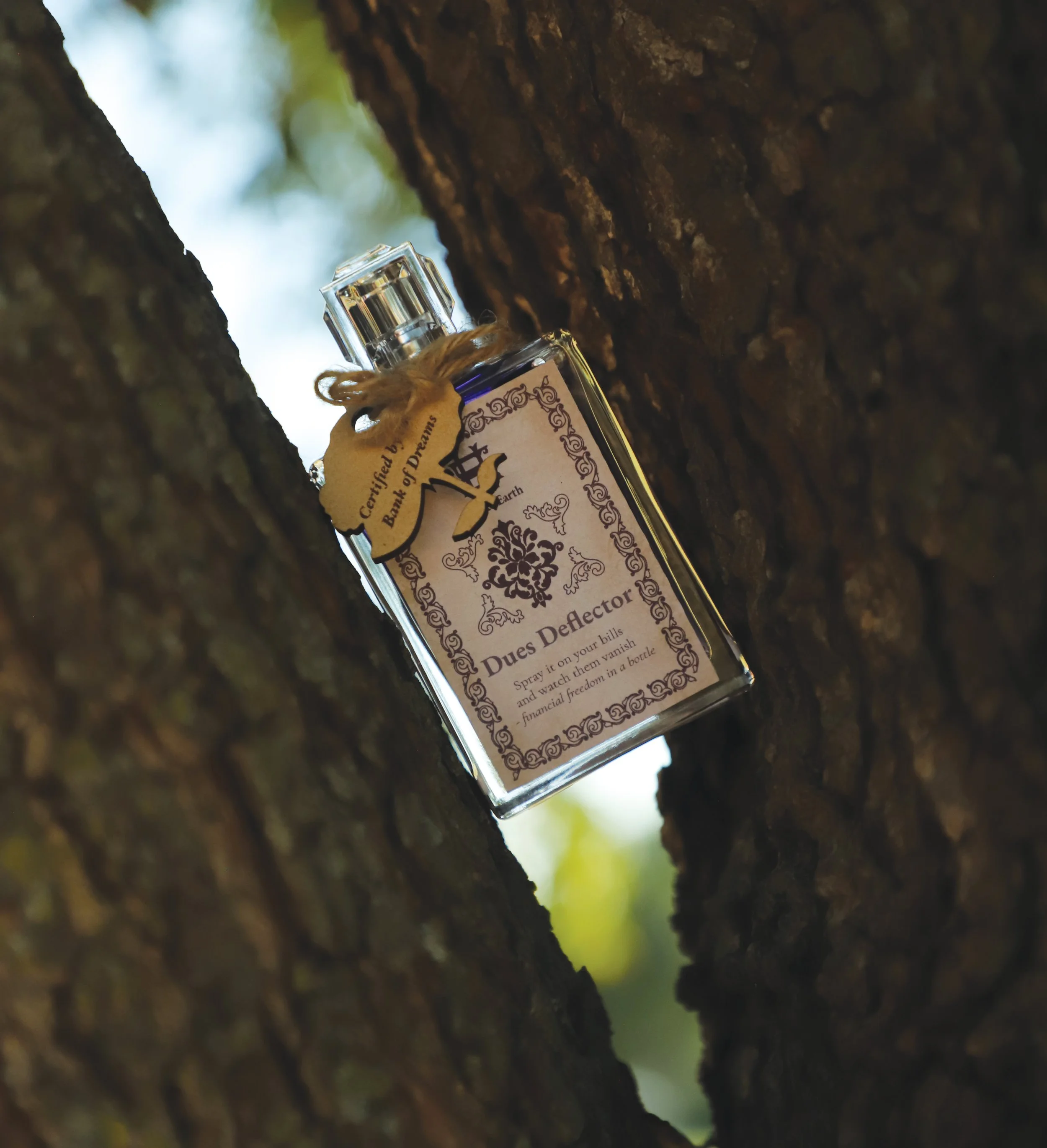 Dues Deflector (Tree).jpg