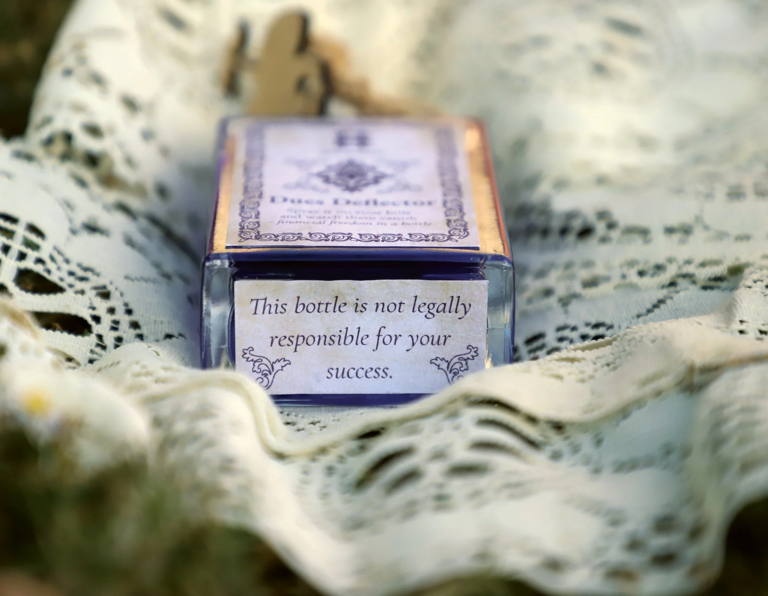 Dues Deflector (Bottom).jpg