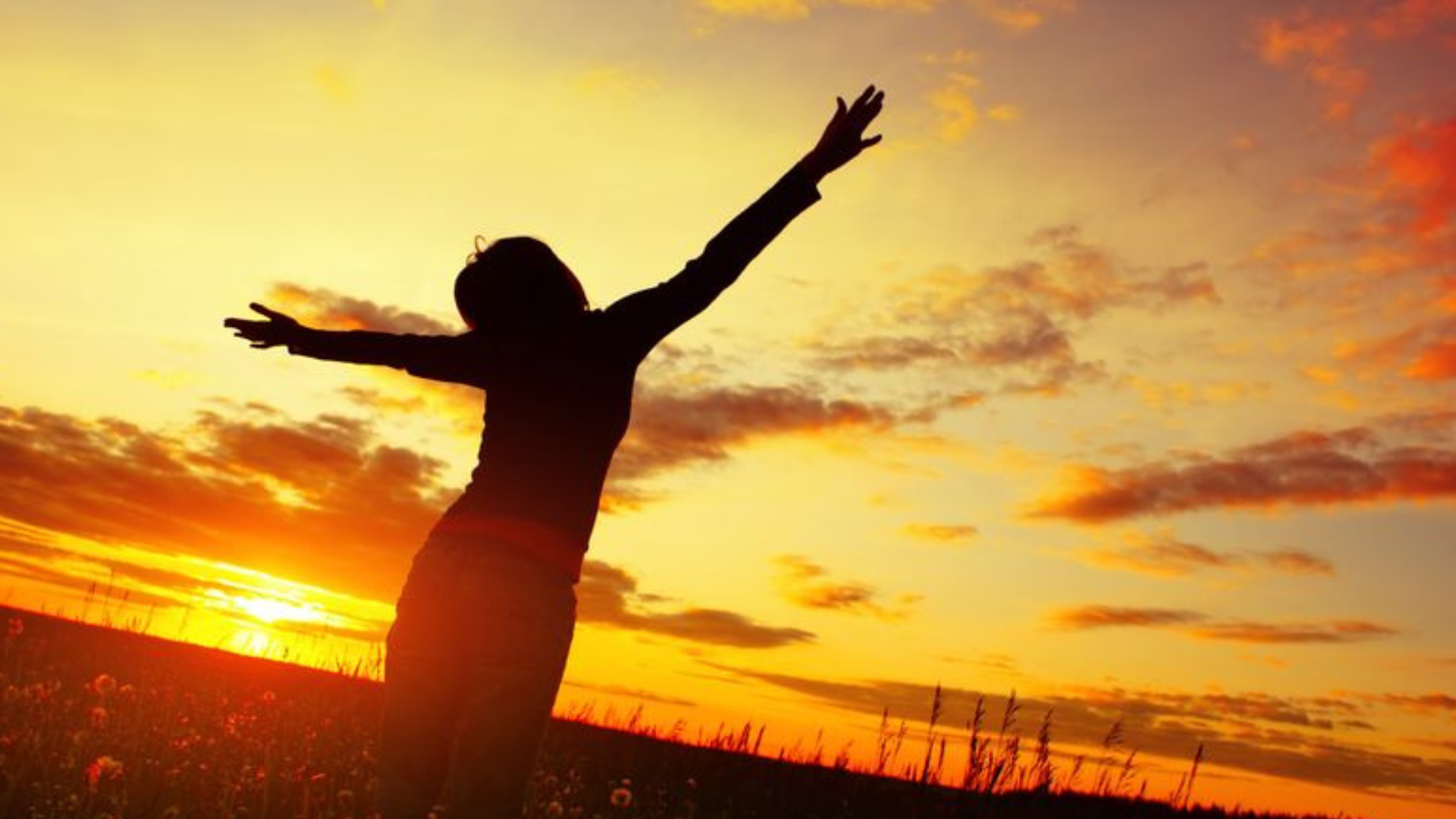 The Art of Being Human