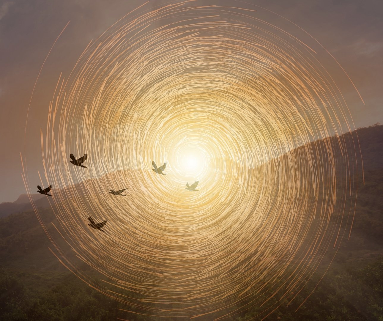 The Art of Finding Your Heartsong