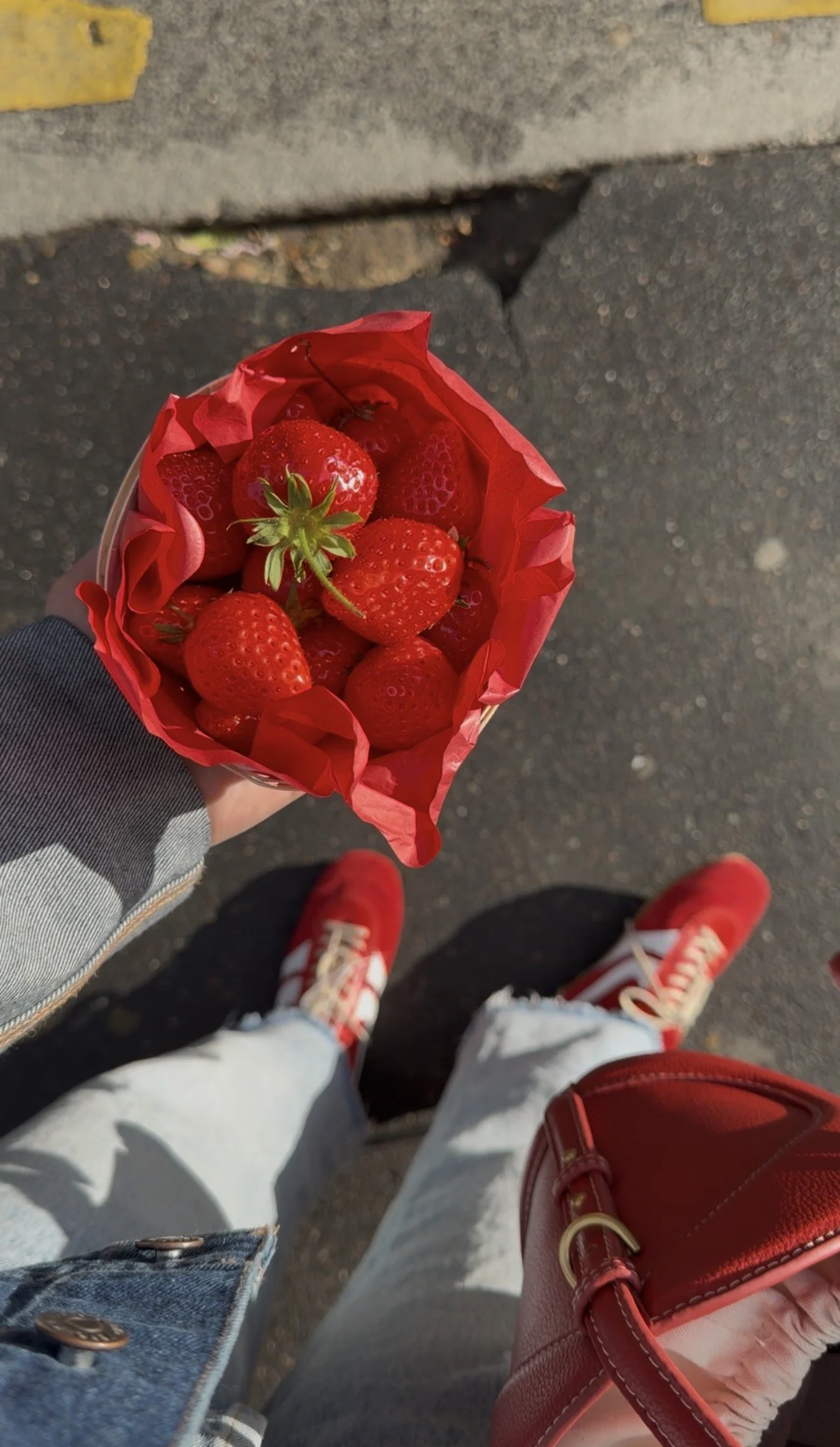 Strawberries wrapped and ready to serve