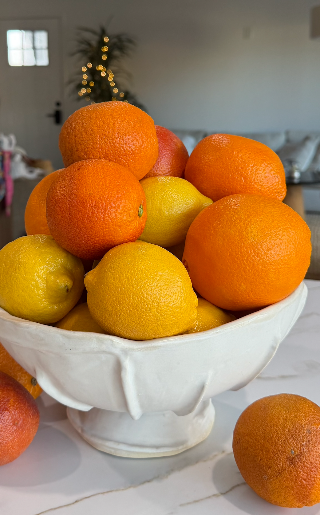 Fresh citrus gathered in the kitchen