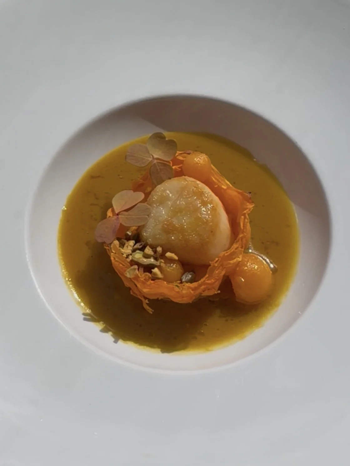 Plated scallop dish designed for a private chef special occasion dinner
