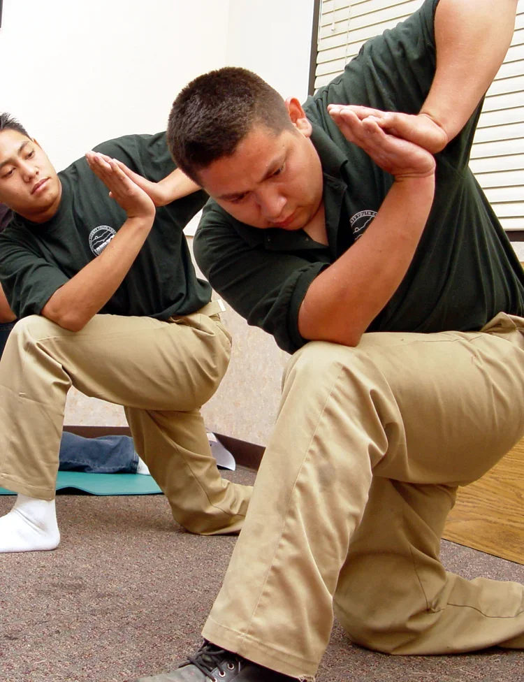 two guys doing exercise