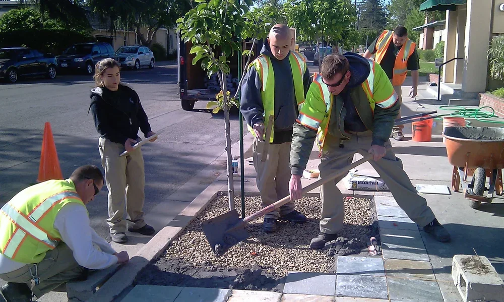 CSET workers wearing high-visibility safety vests shoveling dirt and gravel around a newly planted tree along a sidewalk curb.