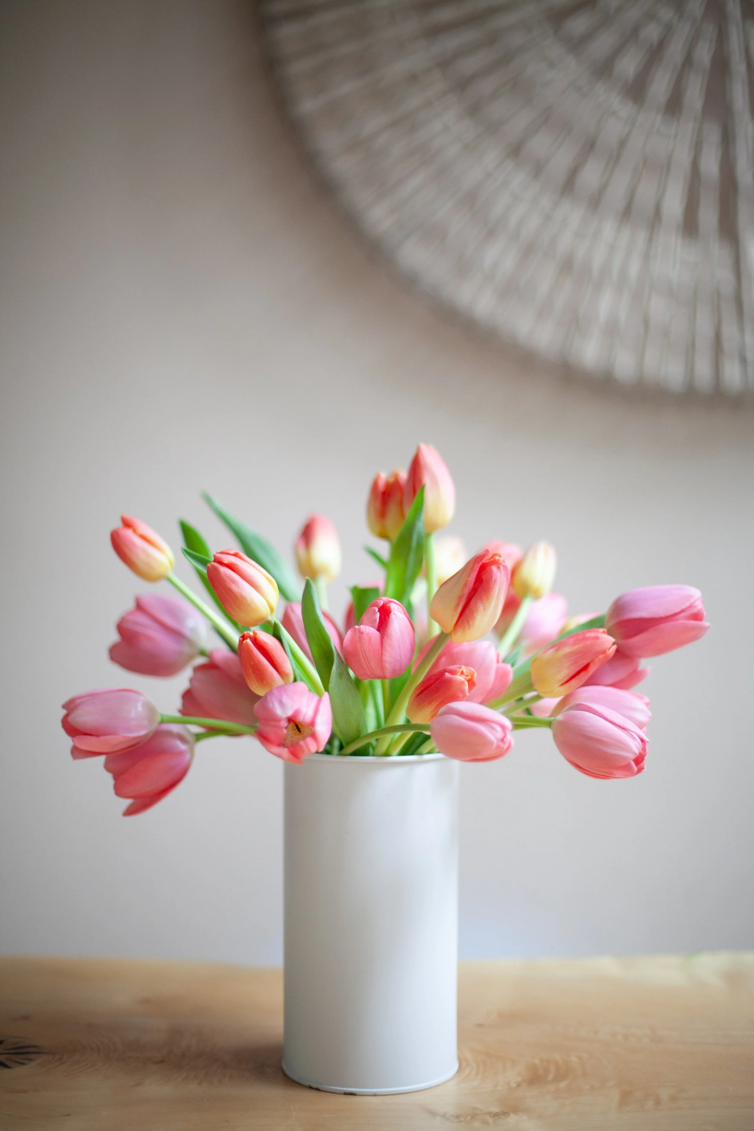 Tulips