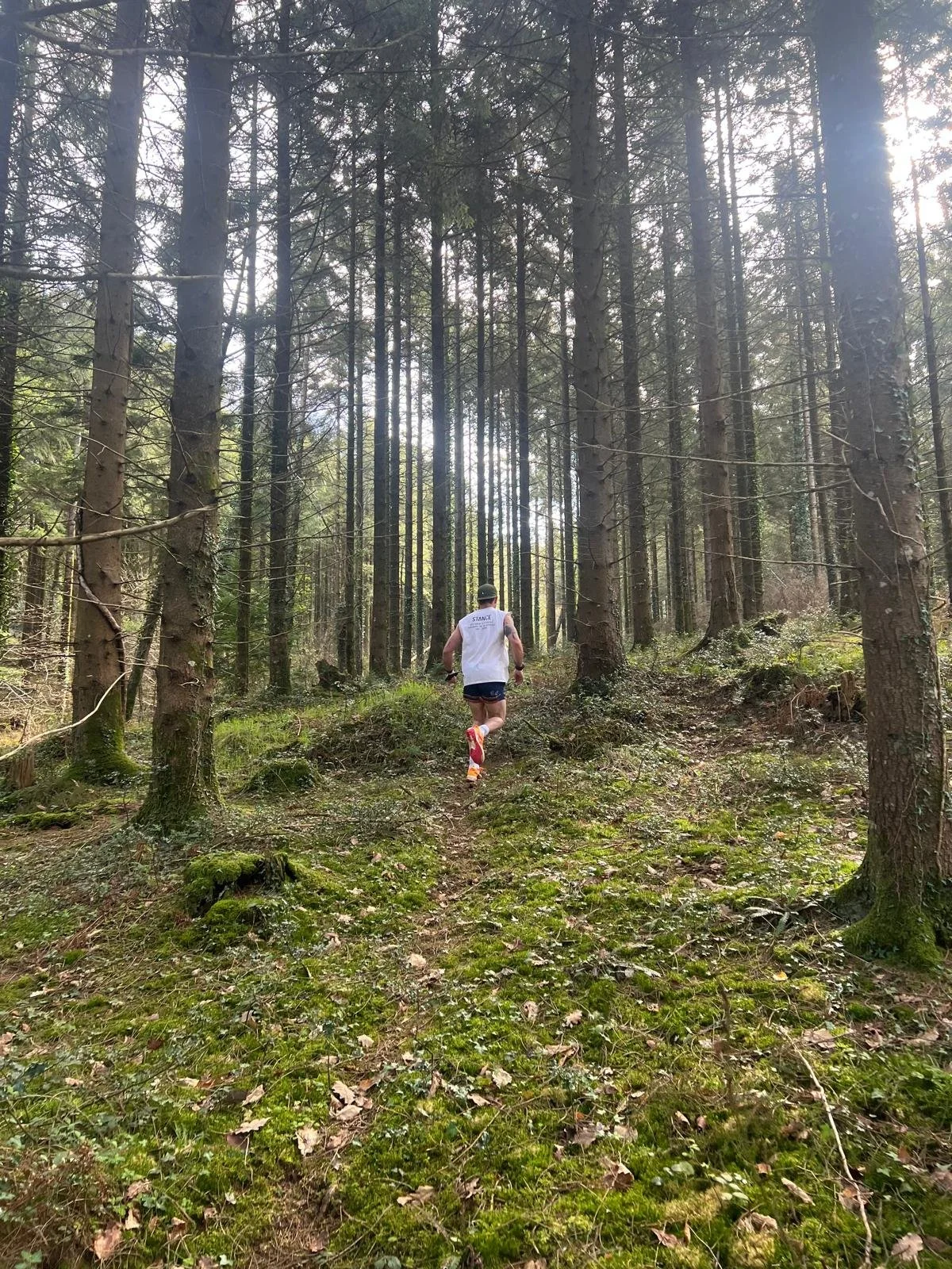 A person looking fit running through a forest trail surrounded by tall trees and moss-covered ground.