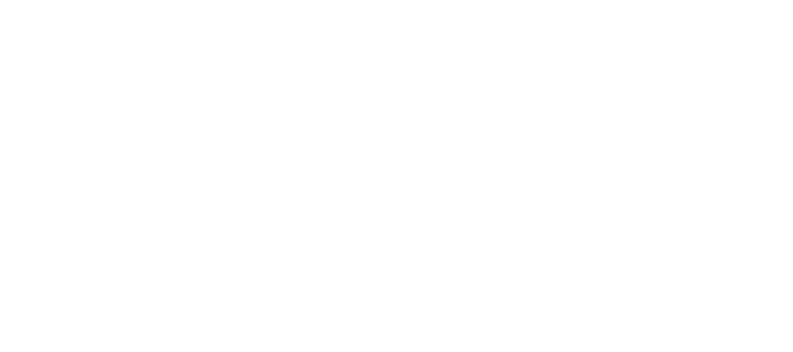 Simplified line drawing of a weight used in a fitness center