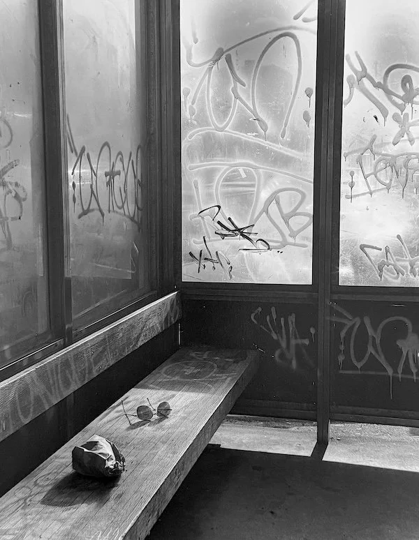 16_t_shelter_4828.jpeg