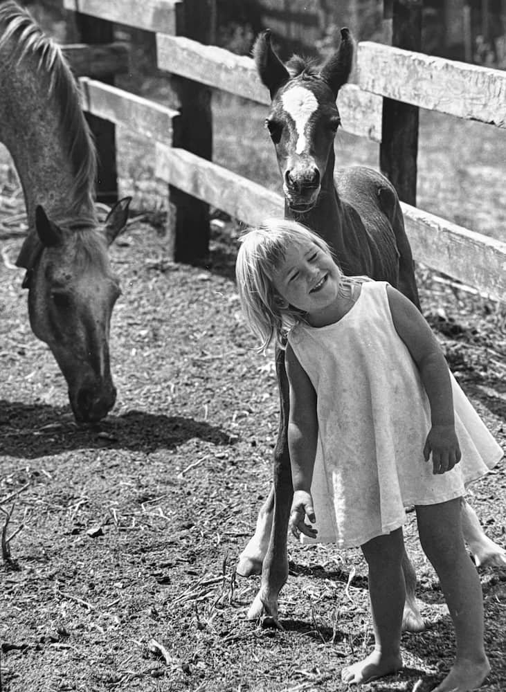 16_foal_jensen_ranch.jpeg