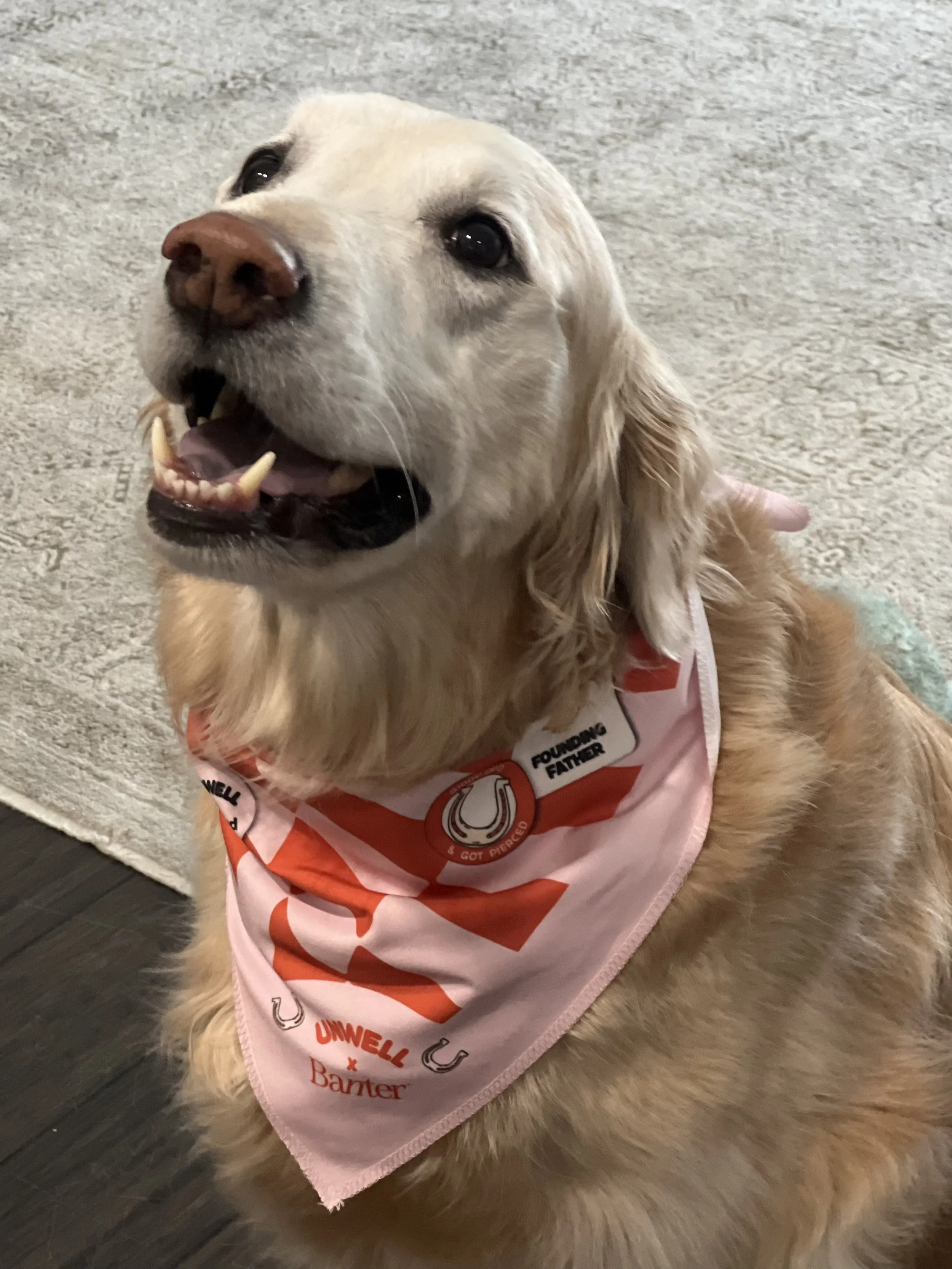 Lula_Bandana.jpeg