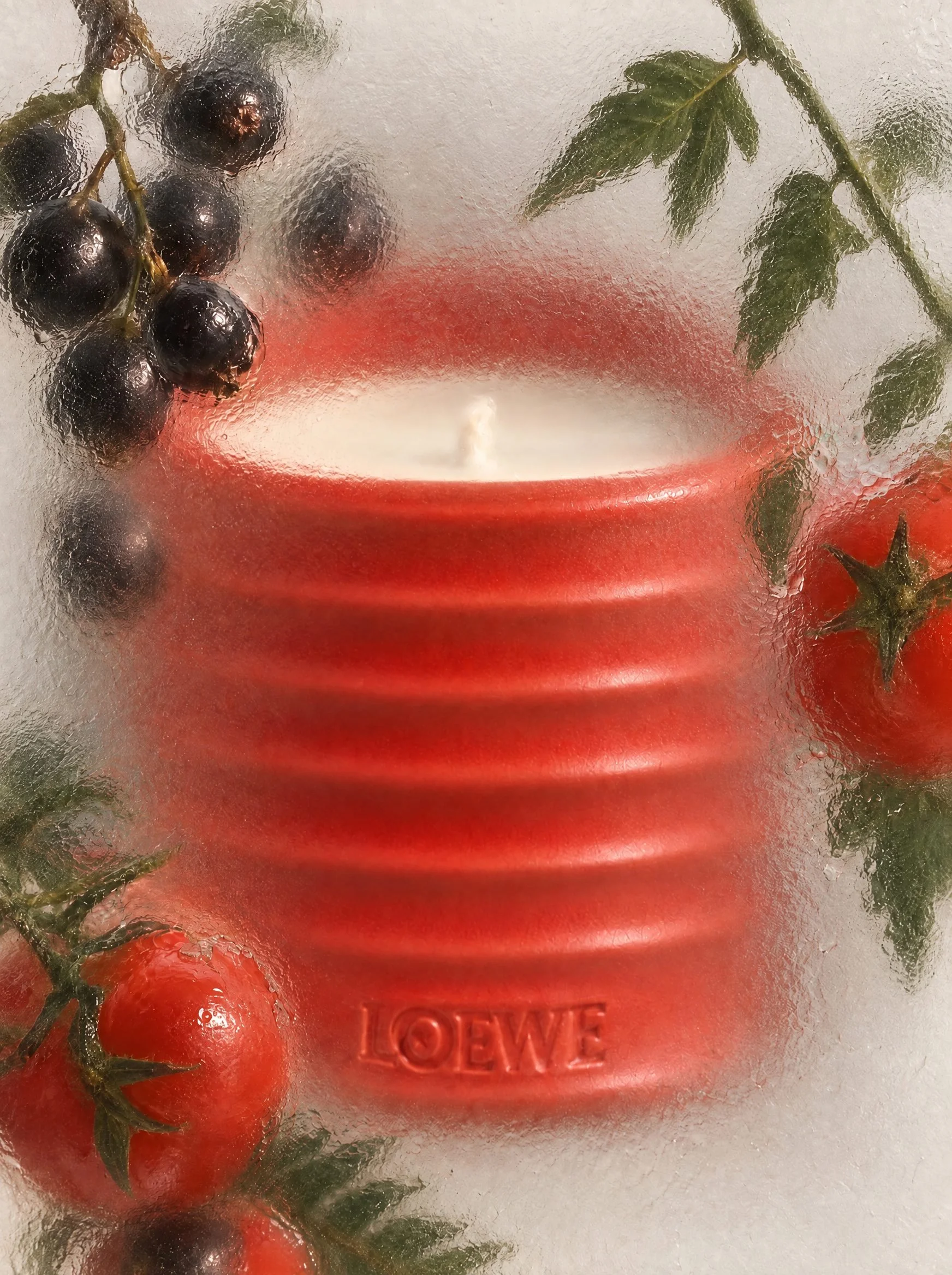 Candle seen through frosted glass with tomatoes and blackcurrants