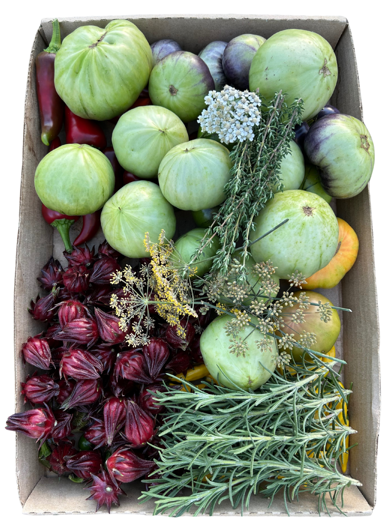 A Culinary Box