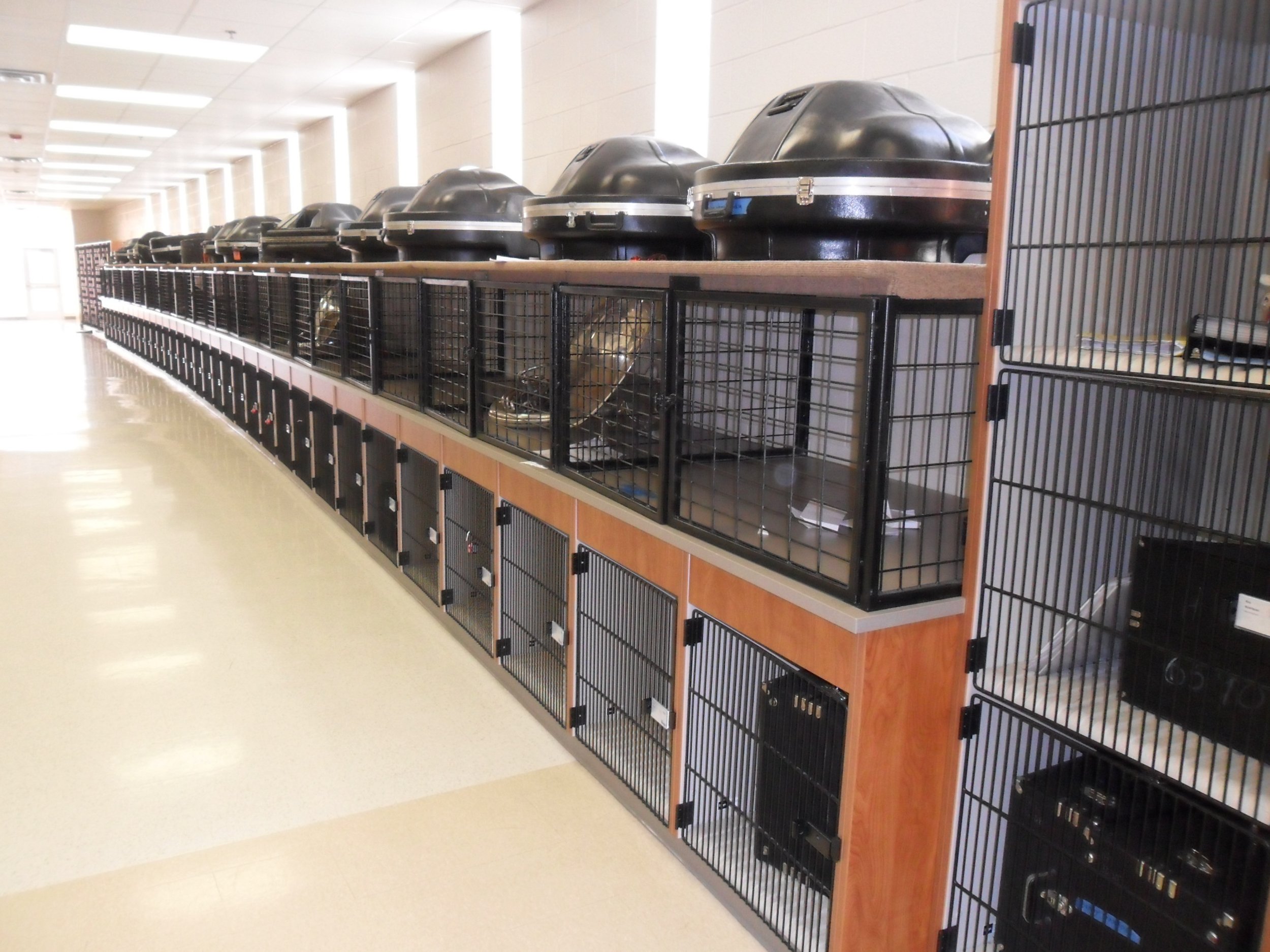 Completed Haltom High School additions in Birdville ISD featuring new academic and band hall wing.