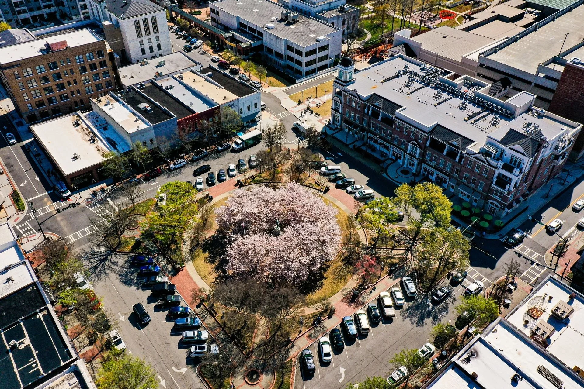 Aerial view of the Gainesville Georgia city square with a large blooming pink cherry blossom tree in the center, surrounded by green trees, parked cars, and multi-story buildings,  restaurants, stores, in a walkable city. Downtown Living.