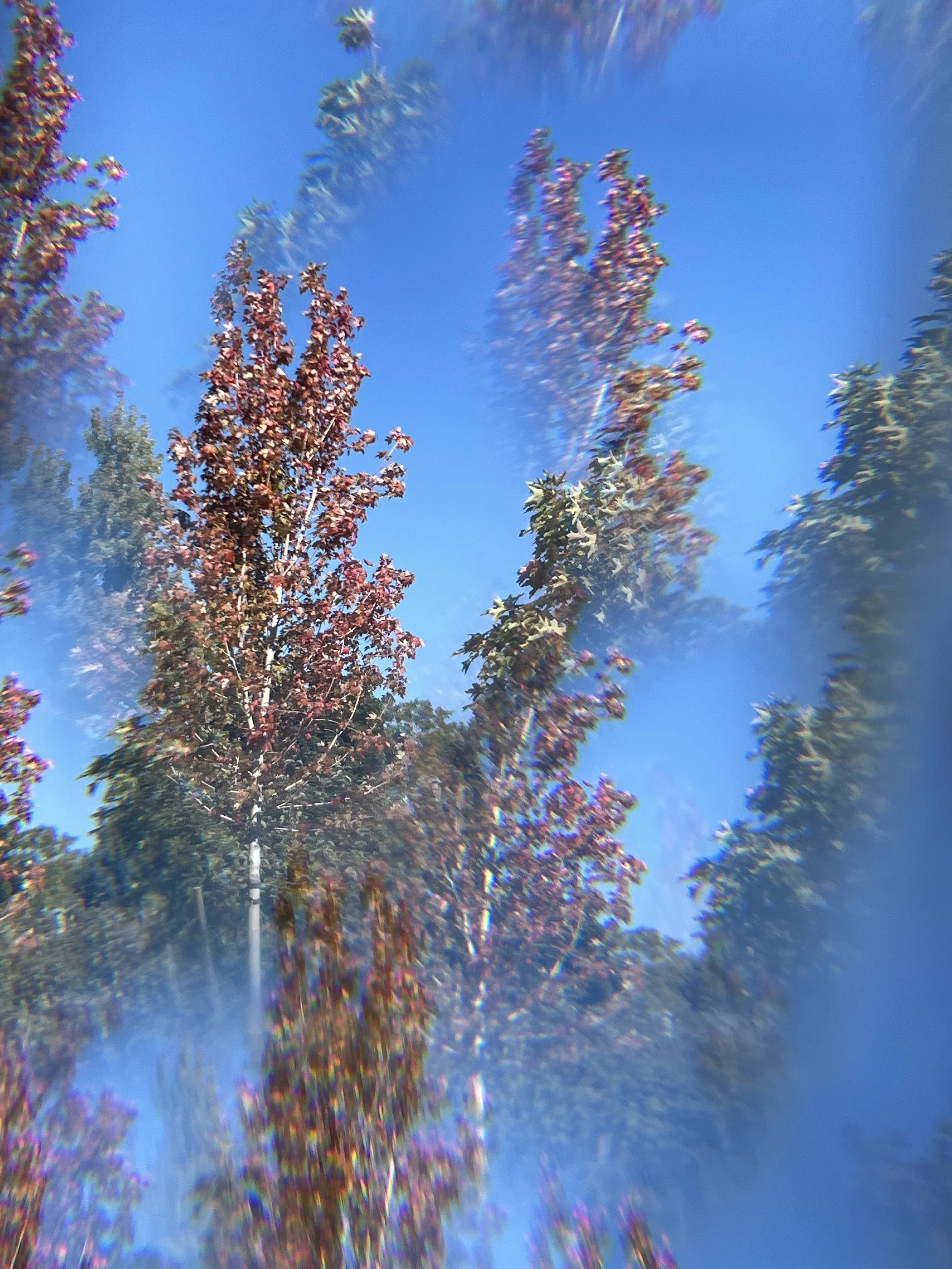 Crystal Tree Series Image 1, 2023