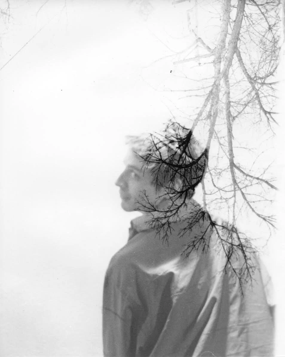 Immersed Diptych II, film photography, 8” x 10”, 2024