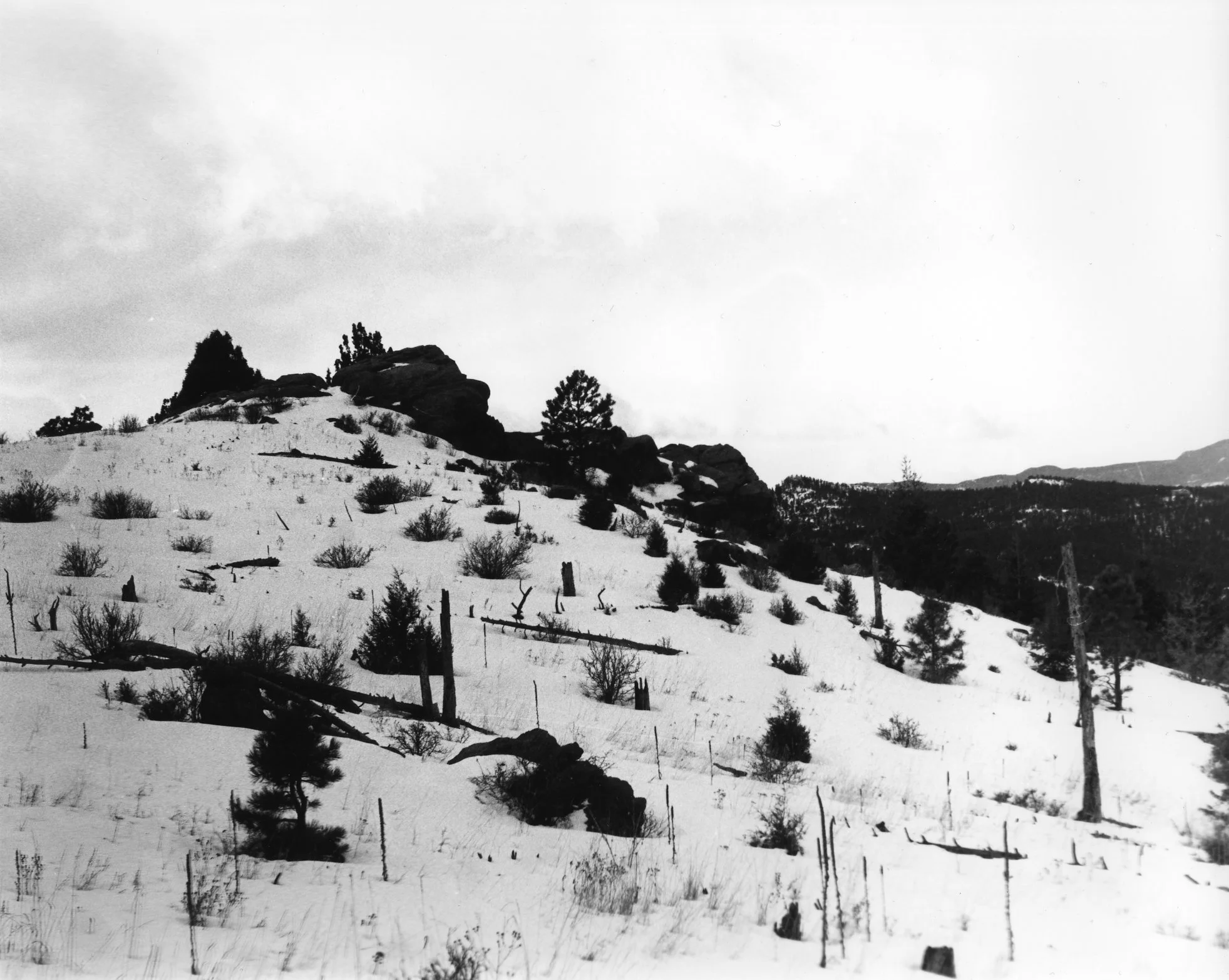 Snowy Hill, film photography, 10” x 8”, 2024