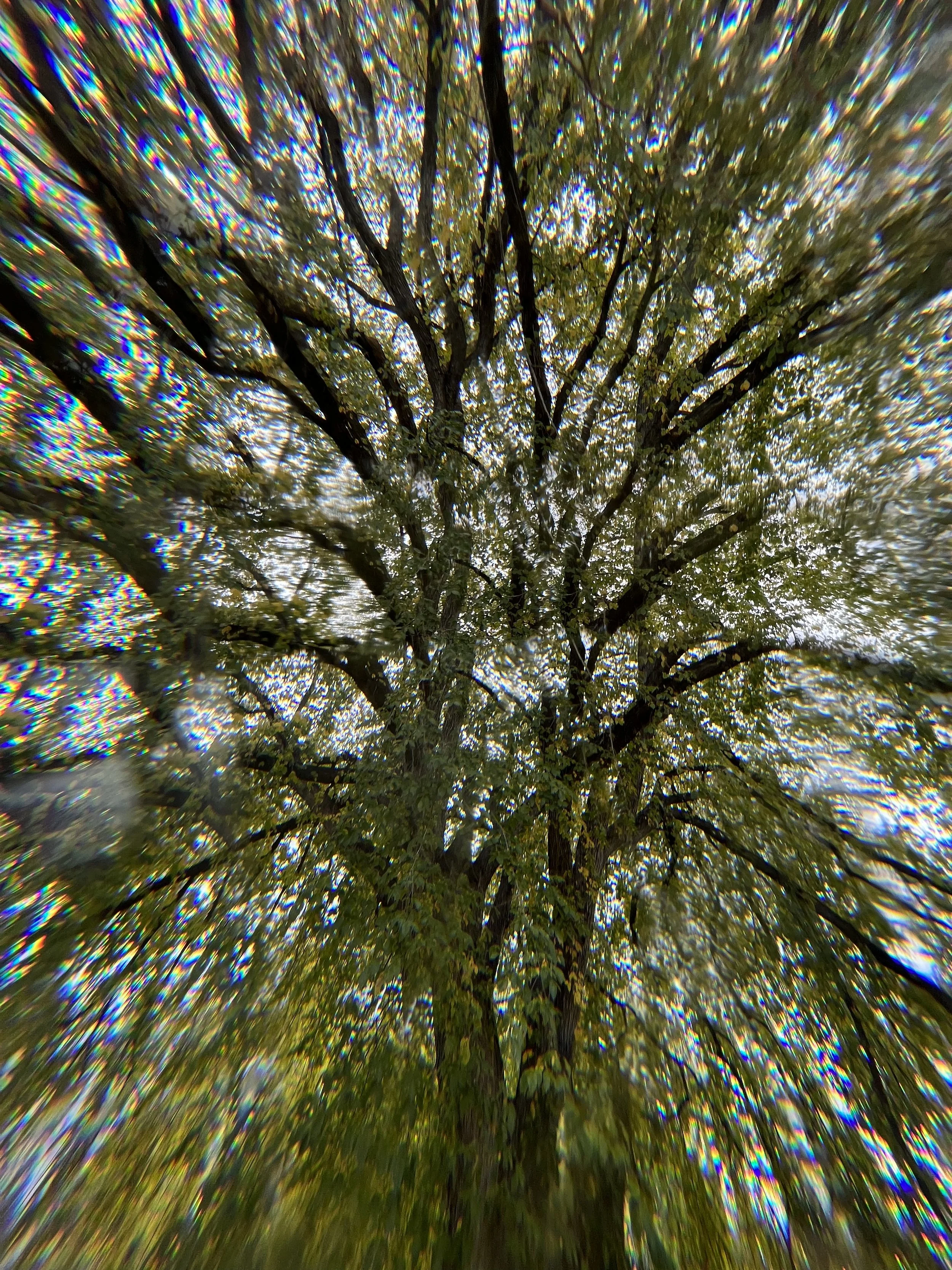 Crystal Tree Series Image 2, 2023