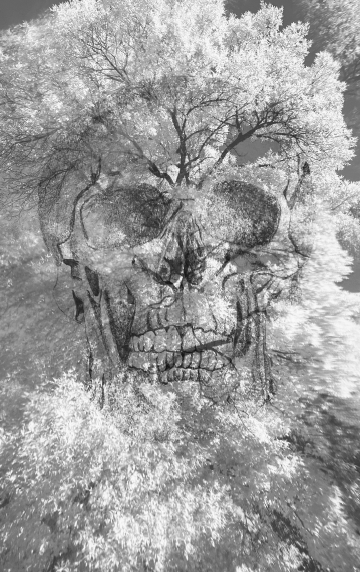 Ever-Present, digital photography and graphite drawing, 5” x 8.5”, 2025 
