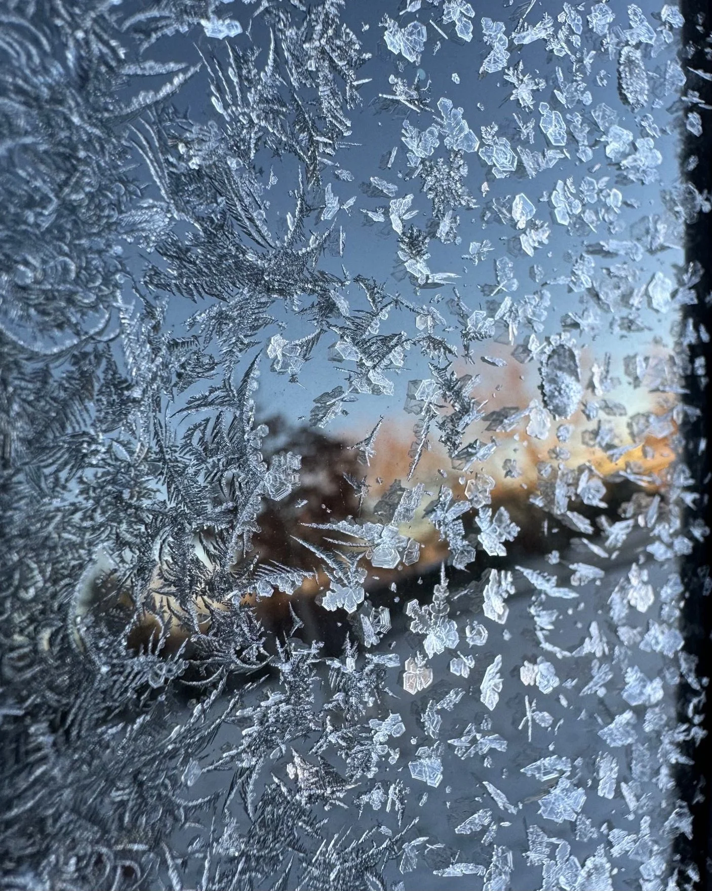 Frosty Morning, 2025