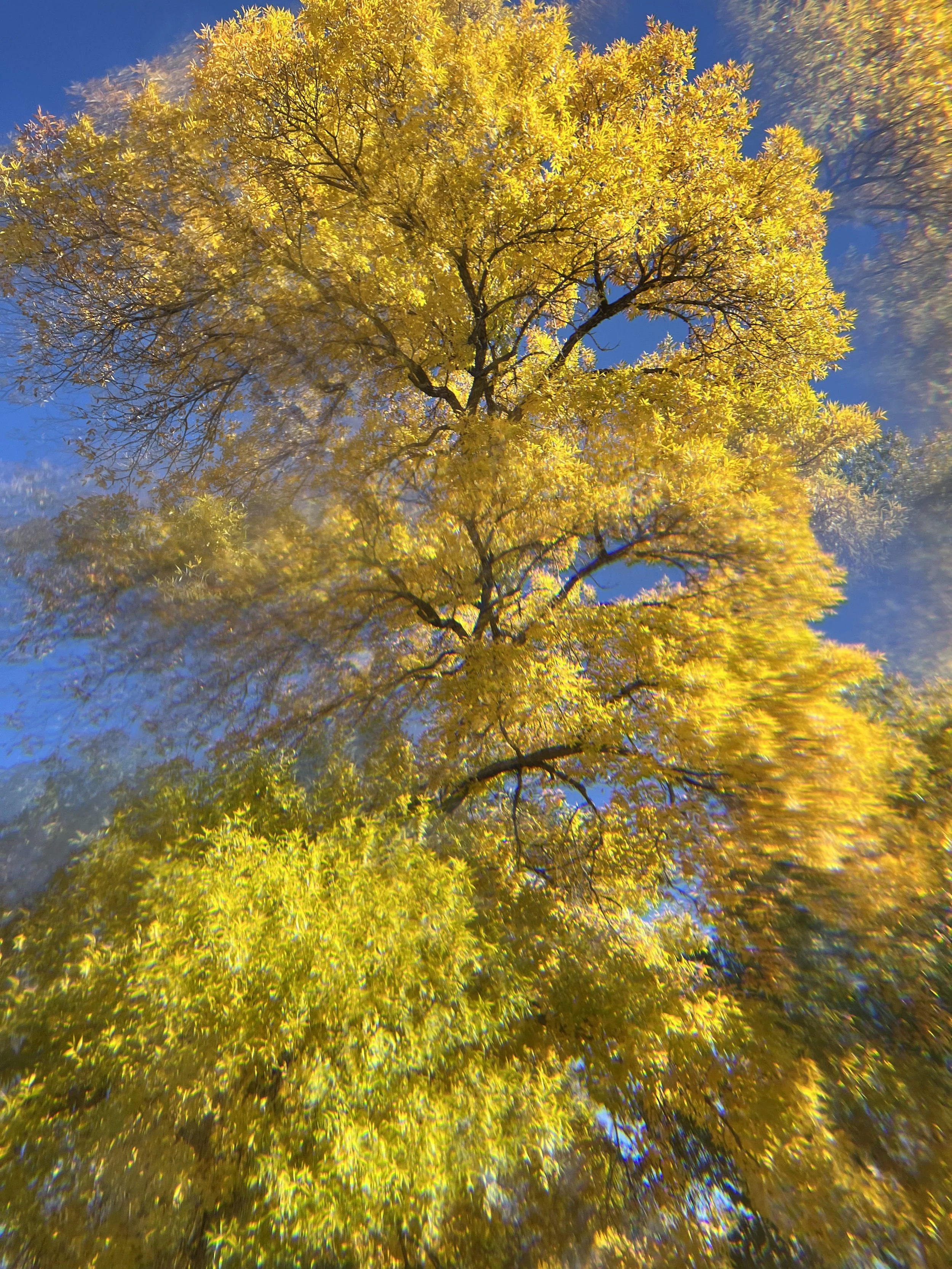 Crystal Tree Series Image 3, 2023