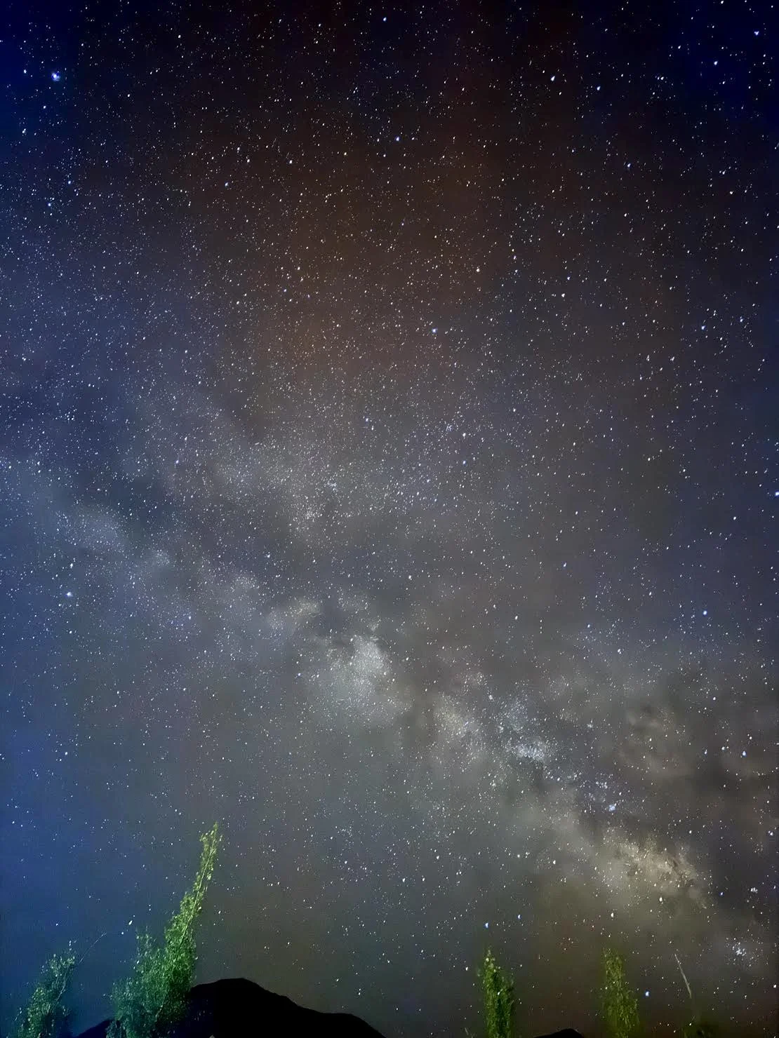 Paonia Milky Way, 2025