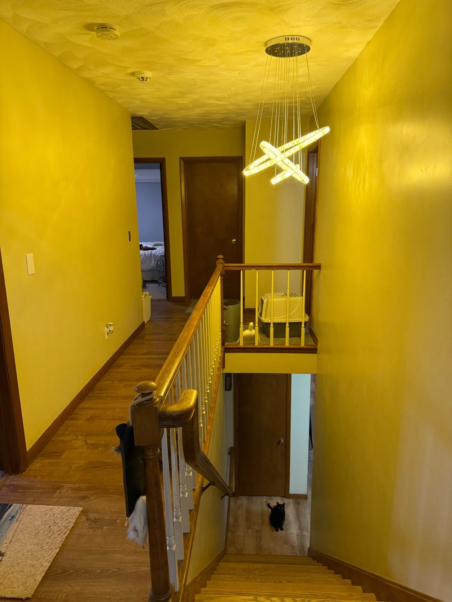Harmony Homesteading-52.jpeg