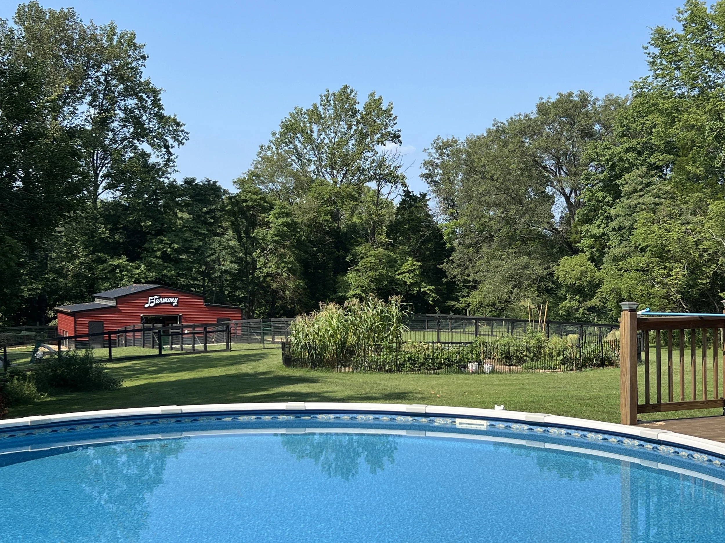 View of the Harmony Homestead backyard with a swimming pool in the foreground, a red barn with the word 'Harmony' on it, a fenced area, a garden, and tall green trees under a clear blue sky.
