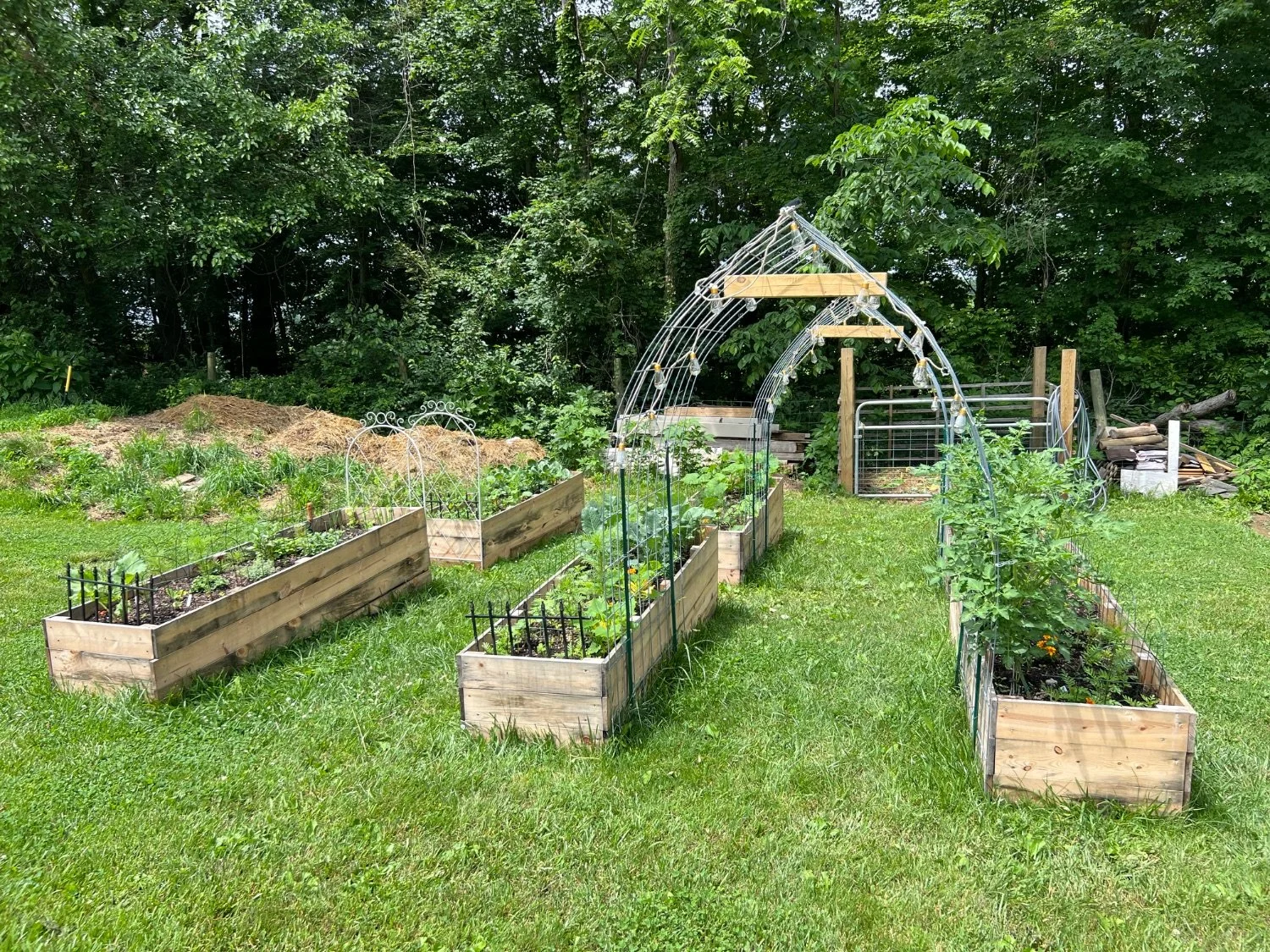 Harmony Homesteading-32.jpeg