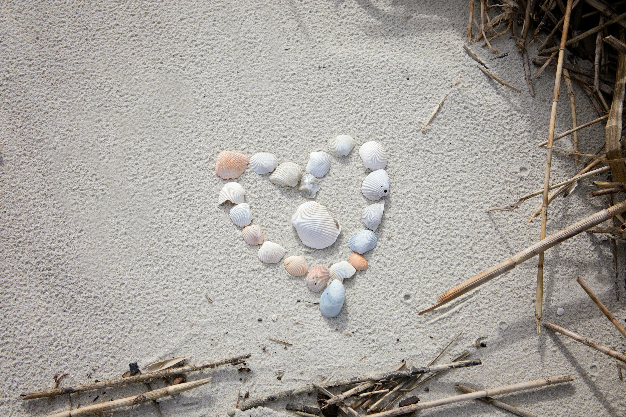🕊️ A Small Circle, A Peaceful Heart Faith