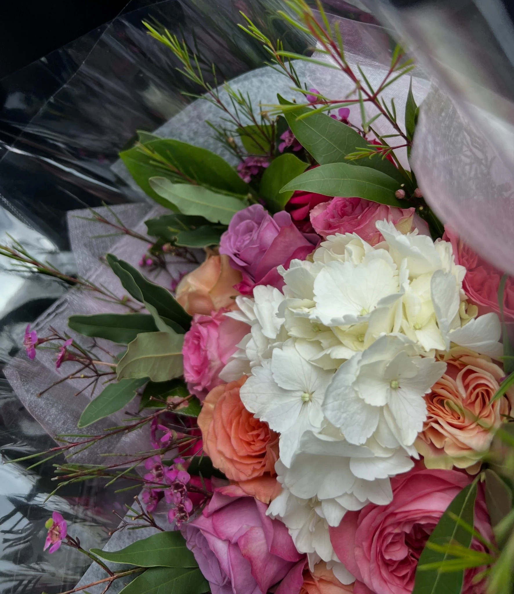 roses_20mb.jpg