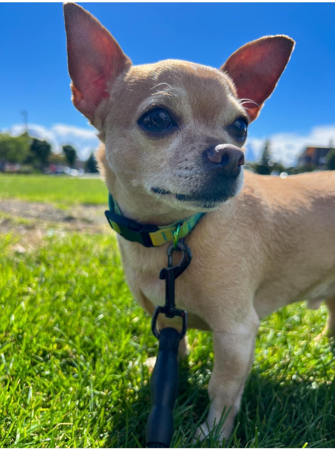 Coco selfie.jpg