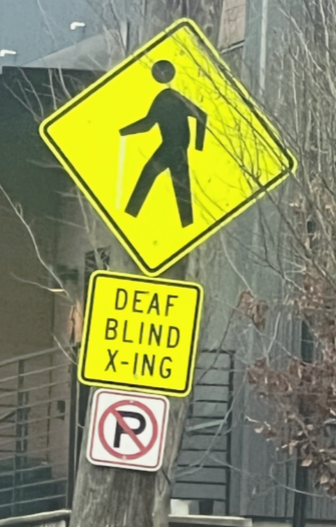 🤝 Walking Beside the DeafBlind: Lessons They Taught Me