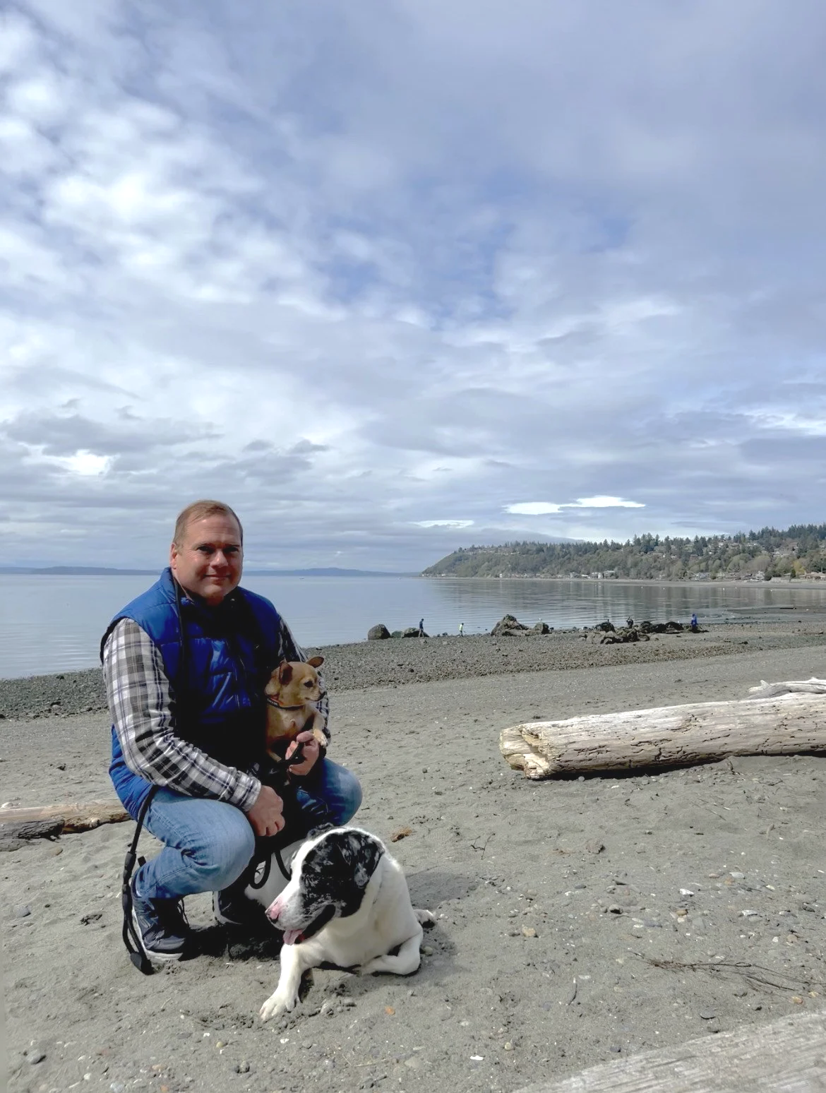 A man crouching on a beach with two dogs, near driftwood, ocean and hills under a cloudy sky.