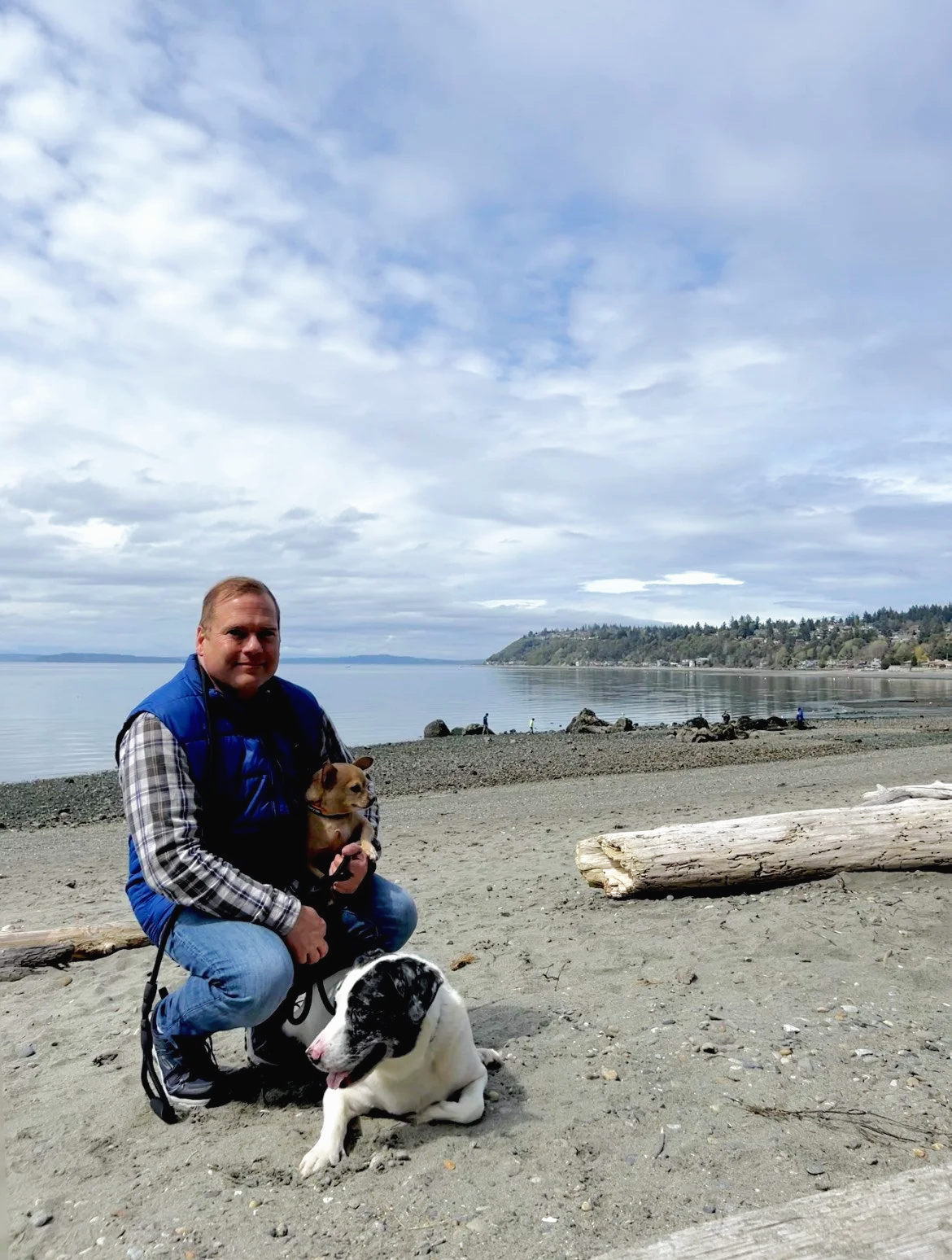 Person sitting on a beach with their dog, calm coastal background