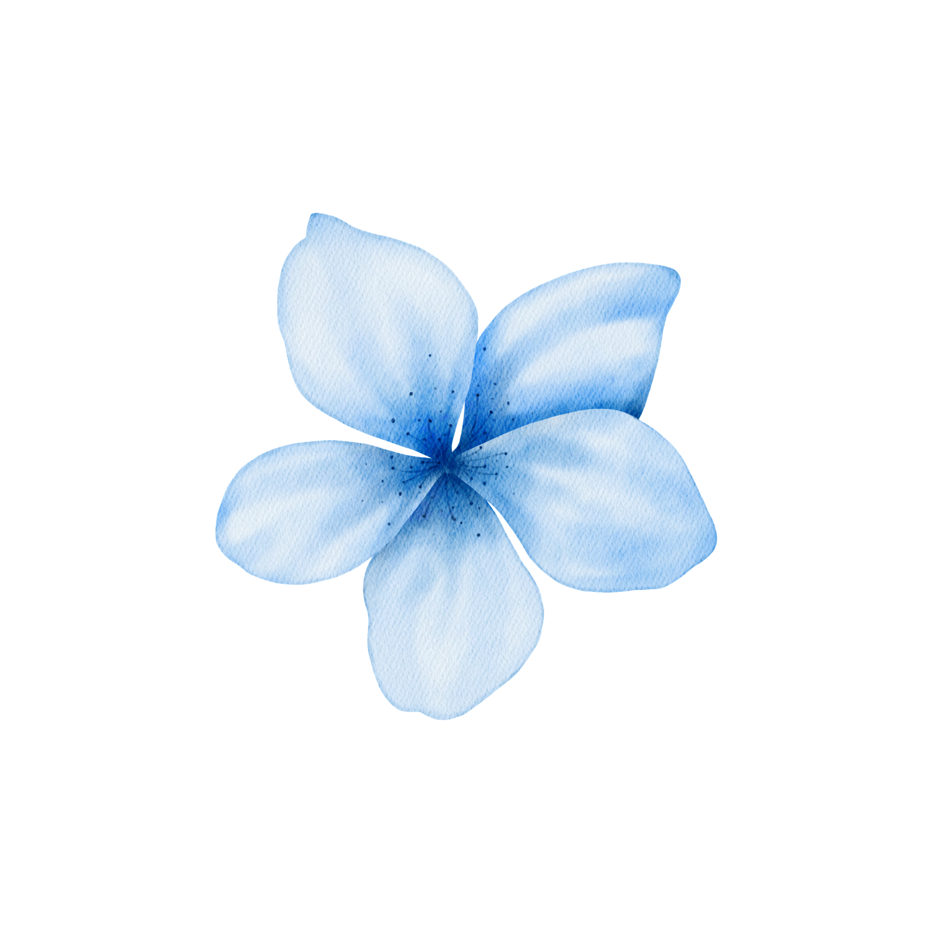 A digitally illustrated light blue flower with five petals, dark blue speckles at the center, and a realistic watercolor texture.