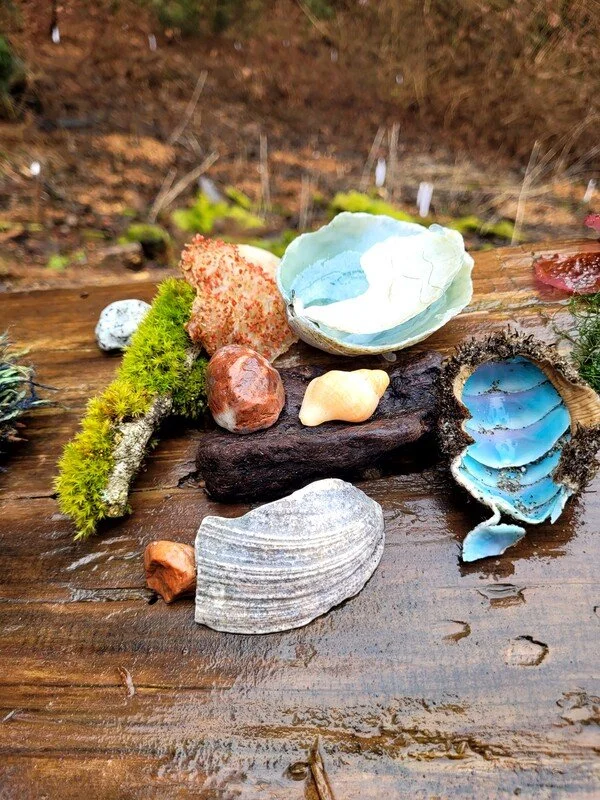 A collection of found shells, mossy rocks, and weather-worn sticks rest on a fallen log at Lincoln Park in West Seattle after a Wild Church event.