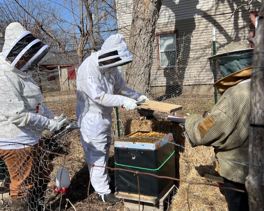 Three beekeepers wearing protective suits and veiled hats inspecting a hive outside near a tree and a house.